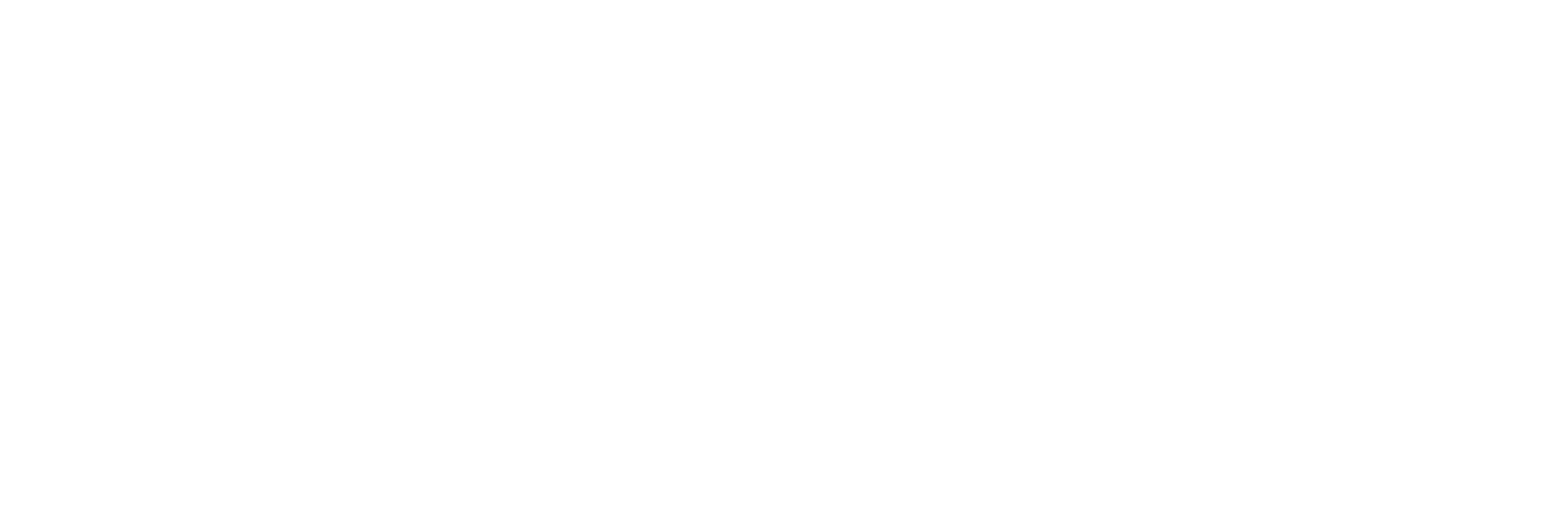 Health Insurance Plus More